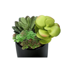 Artificial Succulent Plants Set of 2, Green Faux Indoor Potted Decor in Glossy Black Pots, Realistic Greenery for Table or Shelf perspective