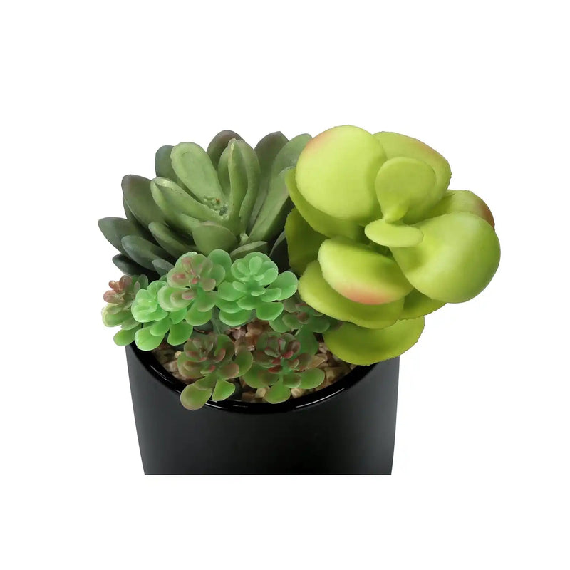 Artificial Succulent Plants Set of 2, Green Faux Indoor Potted Decor in Glossy Black Pots, Realistic Greenery for Table or Shelf