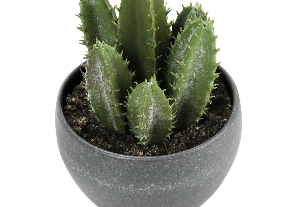 Artificial Plant, 6' Tall, Succulent, Indoor, Faux, Fake, Table, Greenery, Potted, Set Of 3, Decorative, Green Plants, Grey Cement Pots Media 4