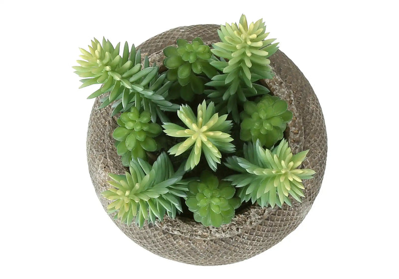 Artificial Plant, Set Of 2, 8' Tall, Succulent, Table, Brown Cement Pots, Contemporary, Modern