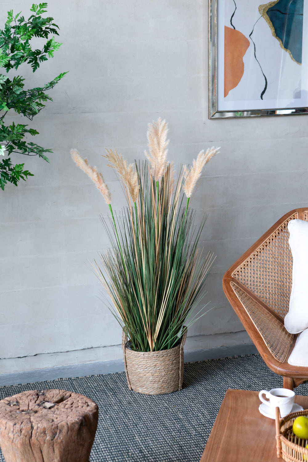 D14x45'H Potted Pampas Grass Plant Media 1