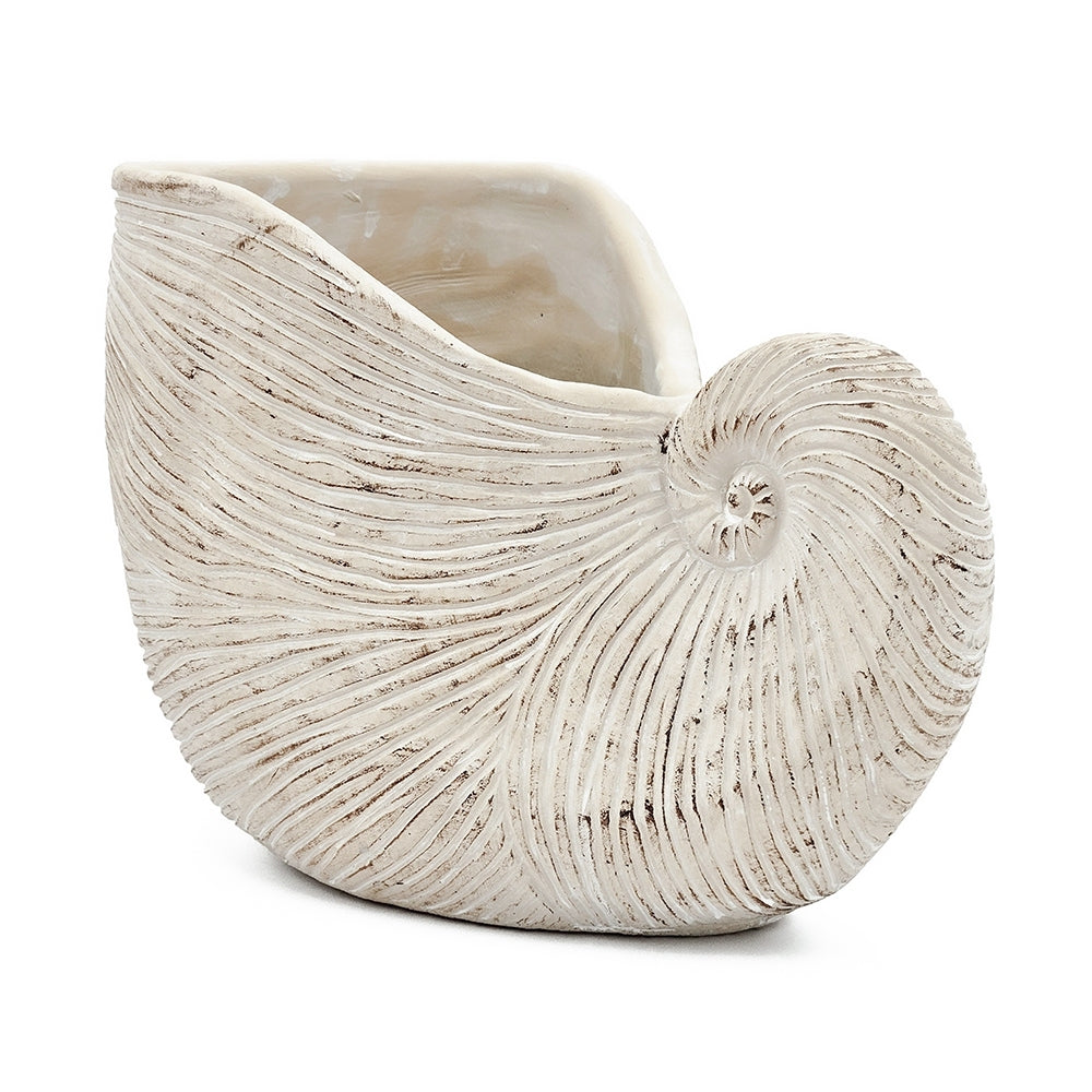 11.5x6.7x7.7' Sand and Cement Nautilus Shell Planter with Textured Beige Finish Media 3