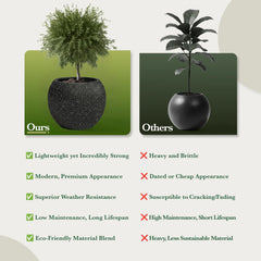DTY Fiberstone Globe Planter Indoor Outdoor — Lightweight Sphere Ball Pot for Olive Tree, Monstera & Palm | Fiberglass Stone | UV Resistant, Drainage Hole | 2 Coco Mats | Black | 12.6" D × 10" H perspective