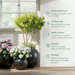 DTY Fiberstone Globe Planter Indoor Outdoor — Lightweight Sphere Ball Pot for Olive Tree, Monstera & Palm | Fiberglass Stone | UV Resistant, Drainage Hole | 2 Coco Mats | Black | 12.6" D × 10" H perspective