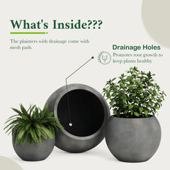 DTY Fiberstone Globe Planter Indoor Outdoor — Lightweight Sphere Ball Pot for Olive Tree, Monstera & Palm | Fiberglass Stone | UV Resistant, Drainage Hole | 2 Coco Mats | Black | 12.6" D × 10" H perspective