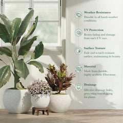 DTY Fiberstone Globe Planter Indoor Outdoor — Lightweight Sphere Ball Pot for Olive Tree, Monstera & Palm | Fiberglass Stone | UV Resistant, Drainage Hole | 2 Coco Mats | Black | 12.6" D × 10" H perspective