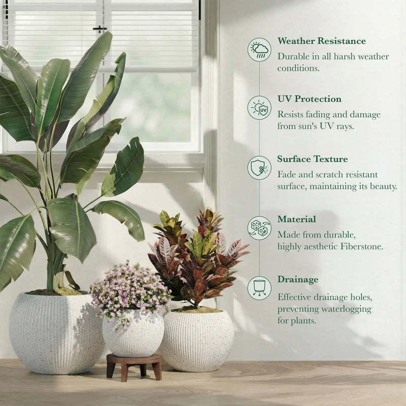 DTY Fiberstone Globe Planter Indoor Outdoor — Lightweight Sphere Ball Pot for Olive Tree, Monstera & Palm | Fiberglass Stone | UV Resistant, Drainage Hole | 2 Coco Mats | Black | 12.6" D × 10" H