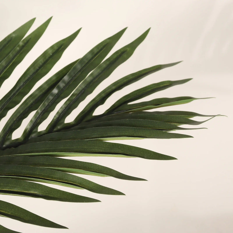 6FT Artificial Palm Tree with Black Plastic Pot, Tropical Fake Plant for Indoor Outdoor Decoration, Faux Palm, 1pc/set