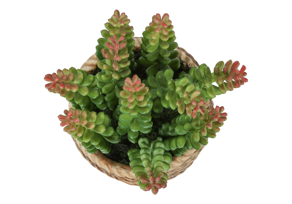 Artificial Plant, Set Of 2, 7' Tall, Succulent, Table, Brown Cement Pots, Contemporary, Modern Media 4