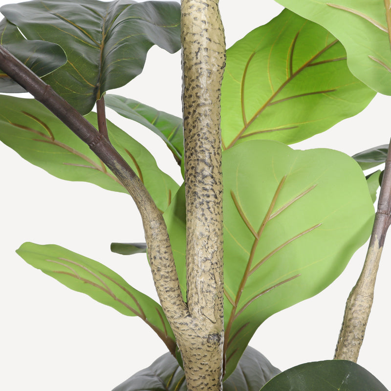 7' Artificial Fiddle Leaf Fig Tree in Black Plastic Pot
