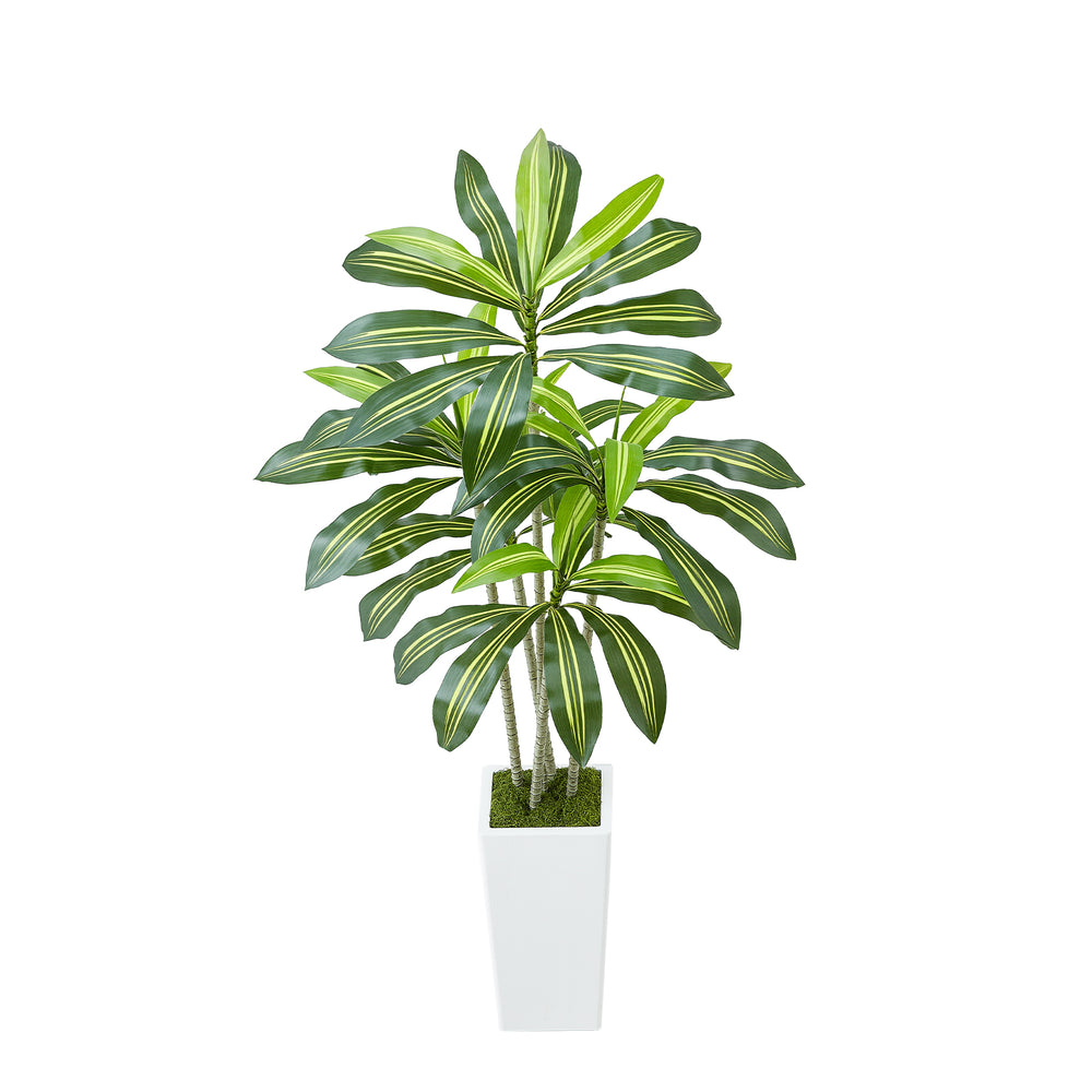 Artificial Dracaena Tree 5 ft, Fake Palm Tropical Plants with White Tall Planter, Faux Floor Silk Plant in Pot, Large Trees for Home Office Living Room Decor House Warming, Indoor Outdoor Media 1