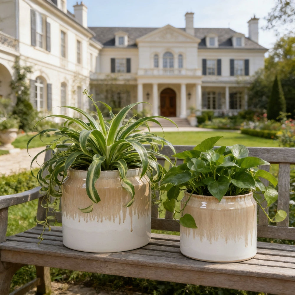Handmade Non-Porous Ceramic Planter Set of 2, 6' & 8' Diameter, Beige Drip Glaze, for Aquatic Plants Indoor/Outdoor Shelf & Desk Use, Breathable Clay Media 2
