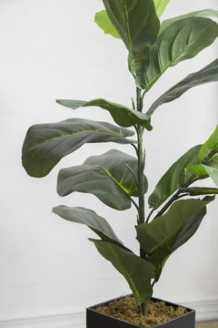 20x16x35' Artificial Fiddle-Leaf Fig Potted Plant perspective