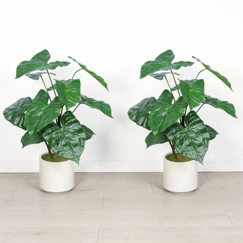30'' Artificial Tropical Alocasia Leaf Plant With White Pot 2pc/set