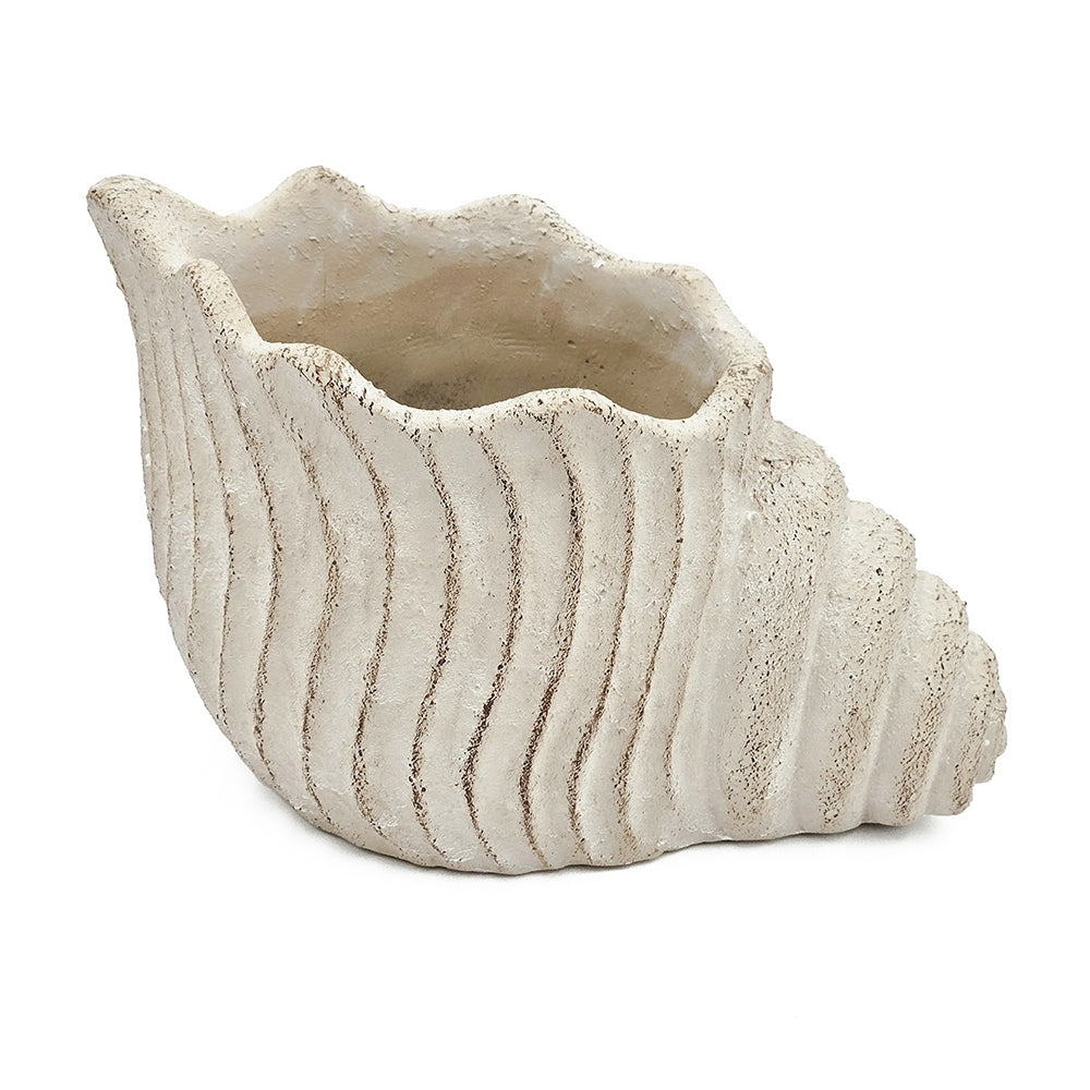 11.5x7x7' Sand and Cement Nautilus Shell Planter with Textured Beige Finish Media 2