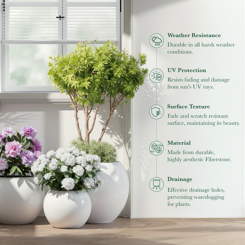 DTY Fiberstone Globe Planter Indoor Outdoor — Lightweight Sphere Ball Pot for Olive Tree, Monstera & Palm | Fiberglass Stone | UV Resistant, Drainage Hole | 2 Coco Mats | Black | 12.6" D × 10" H