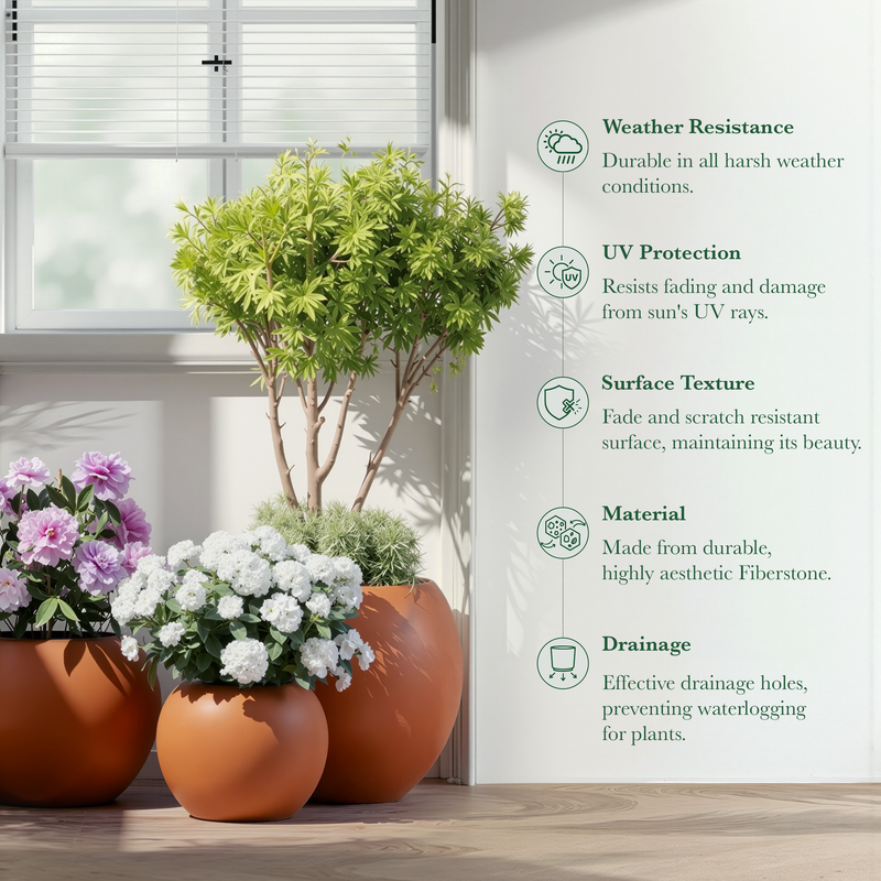 DTY Fiberstone Globe Planter Indoor Outdoor — Lightweight Sphere Ball Pot for Olive Tree, Monstera & Palm | Fiberglass Stone | UV Resistant, Drainage Hole | 2 Coco Mats | Black | 12.6" D × 10" H