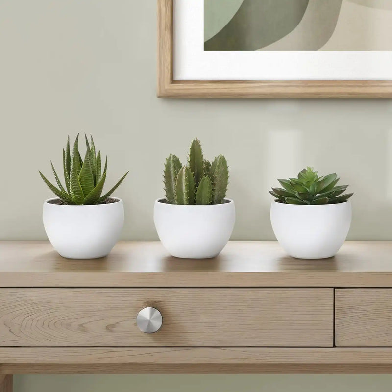 Artificial Succulent Plants Set of 3, 6' Tall, Green Faux Indoor Decor in White Pots, Plastic, Tabletop Greenery