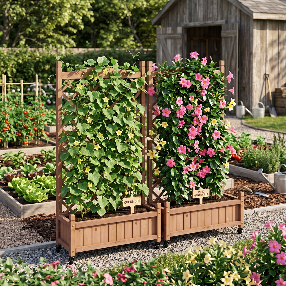 Natural Wood Raised Garden Bed with Trellis 2 Pack, Outdoor Planter Box & Plant Stand for Climbing Plants, Brown Solid Wood, 25L x 11W x 42.3H inches Media 5