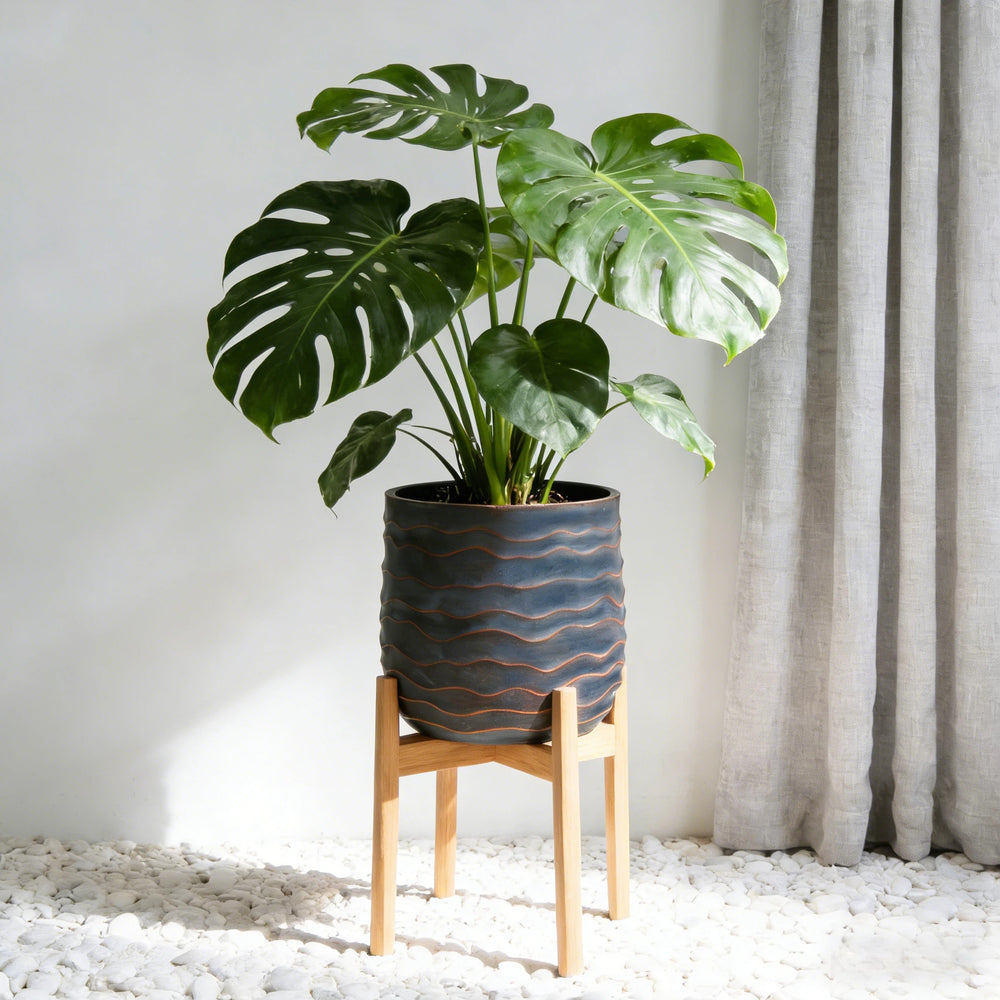 Large Round Planters Set of 2 (16.14'x15.75' & 11.8' x11.42'') - Lightweight Magnesium Oxide Plant Pot with Texture -Concrete Planter Pots with Drainage Hole – Indoor & Outdoor Use Media 2