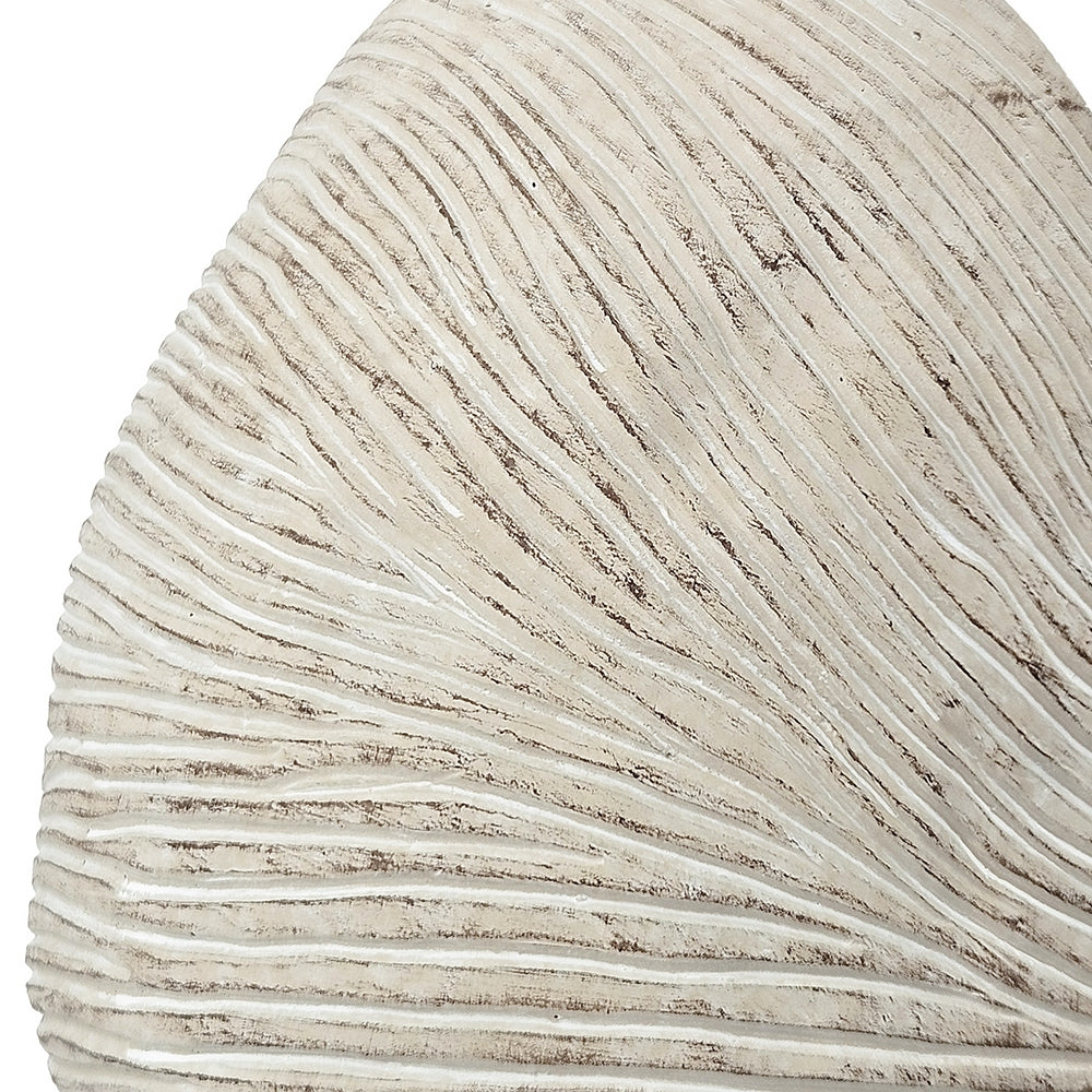 11.5x6.7x7.7' Sand and Cement Nautilus Shell Planter with Textured Beige Finish Media 9