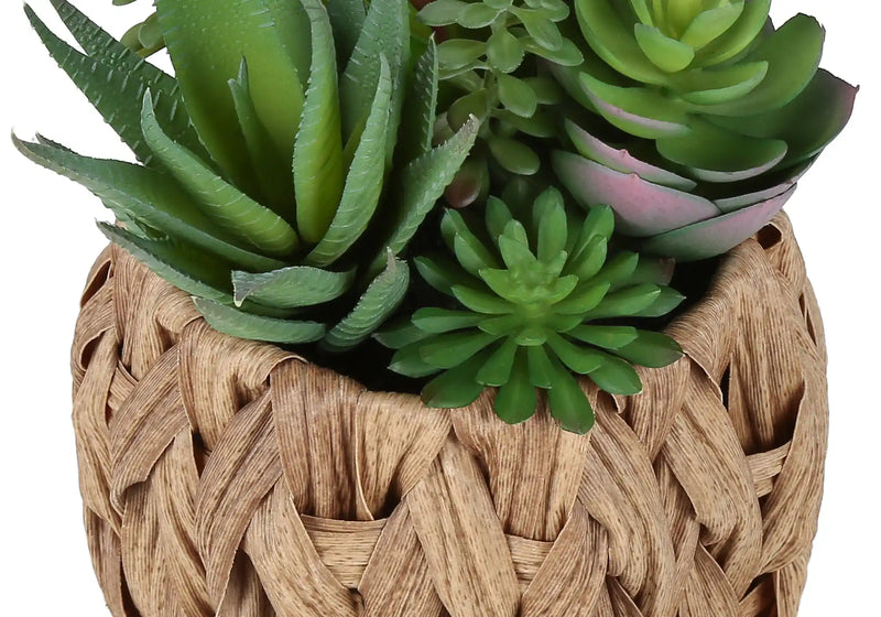 Artificial Plant, Set Of 2, 9' Tall, Succulent, Table, Brown Woven Basket, Contemporary, Modern