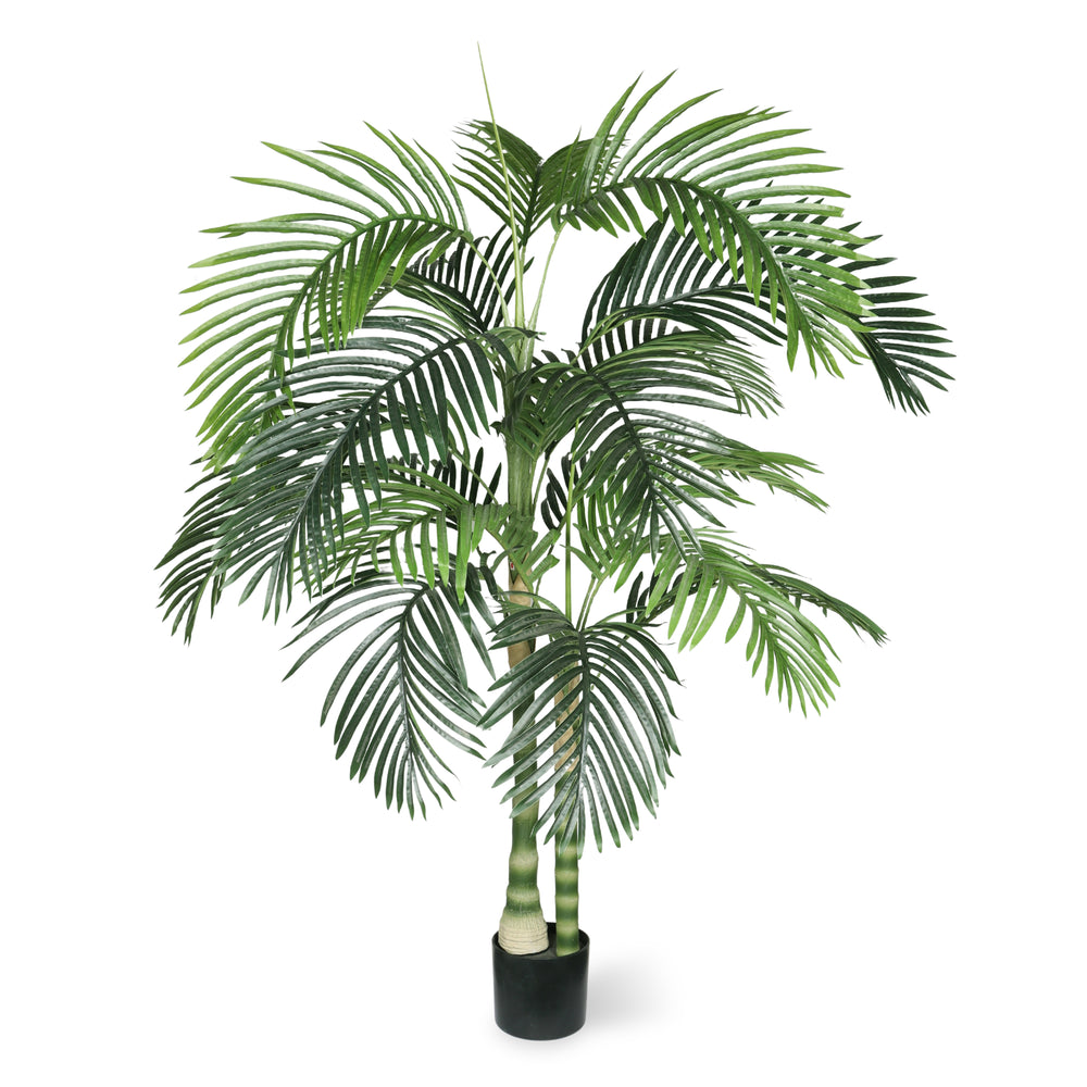 6FT Artificial Palm Tree with Black Plastic Pot, Tropical Fake Plant for Indoor Outdoor Decoration, Faux Palm, 1pc/set Media 6