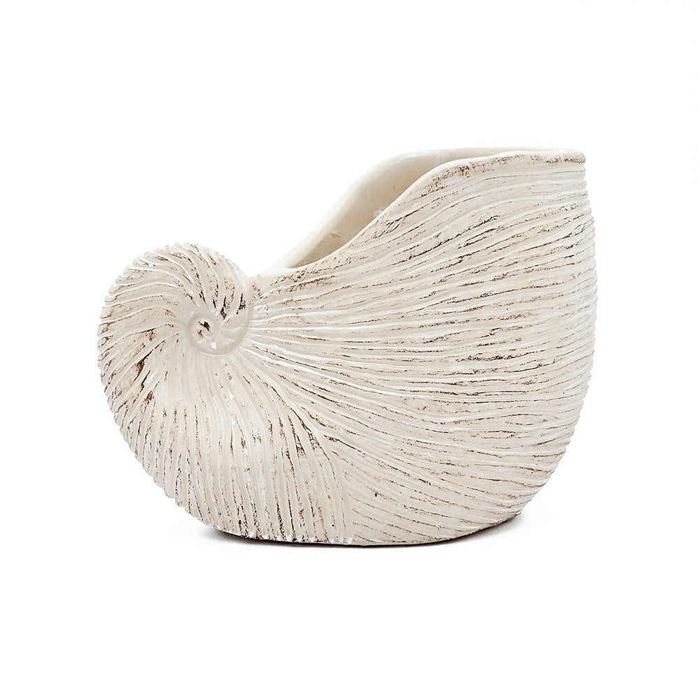 8.5x5.5x6.3' Sand and Cement Nautilus Shell Planter with Textured Beige Finish Media 5