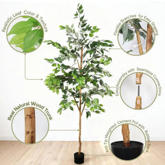 6FT Artificial Ficus Tree with Natural Trunk in Black Plastic Pot for Indoor Home Office Decor, 1pc/set perspective