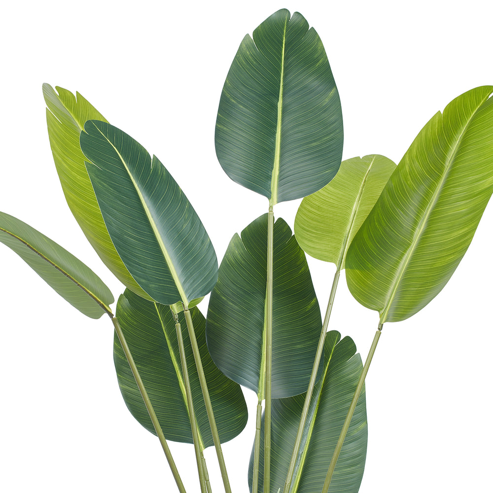 Artificial Birds Of Paradise Tree, 5 FT Tall Faux Plant, PE Material & Anti-Tip Tilt Protection Low-Maintenance Plant, Lifelike Green Fake Tree for Home Office Warehouse Decor Indoor Outdoor Media 5