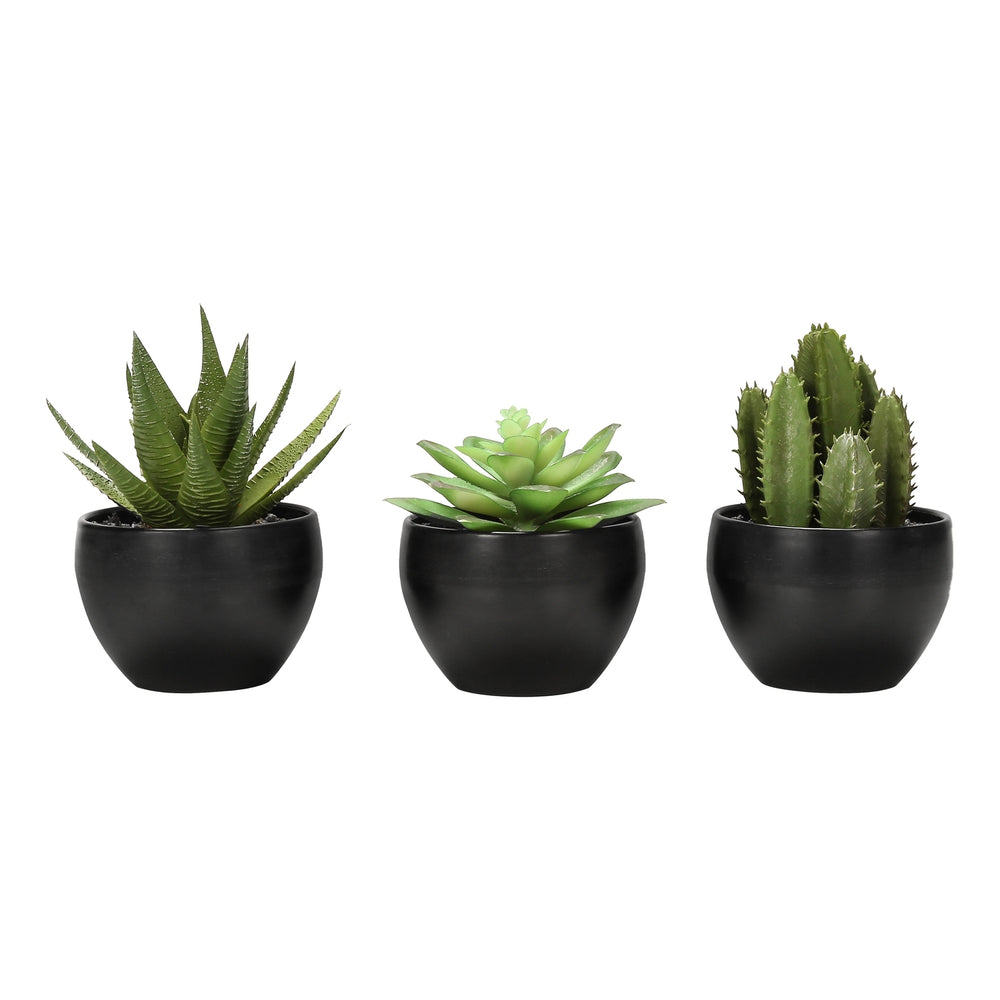 Artificial Succulent Plants Set of 3, 6' Tall, Green Faux Indoor Decor in Black Melamine Pots, Tabletop Greenery for Home Office Media 1