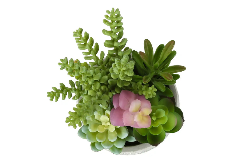 Artificial Plant, Set Of 2, 9' Tall, Succulent, Table, Grey Cement Pots, Contemporary, Modern