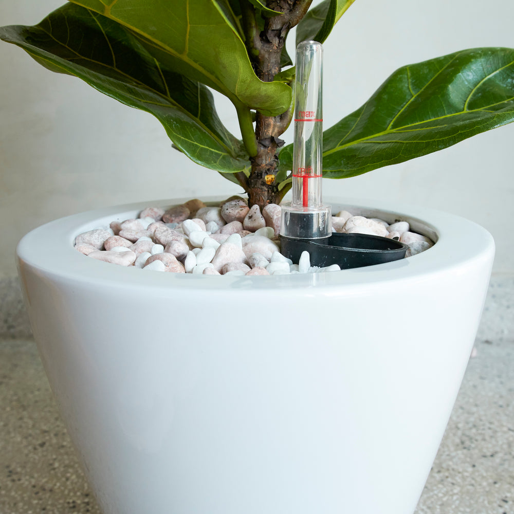 2-Pack Smart Self-watering Planter Pot for Indoor and Outdoor - White - Round Cone Media 3