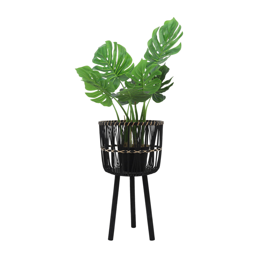 S/3 BAMBOO PLANTERS 11/13/15', BLACK Media 3