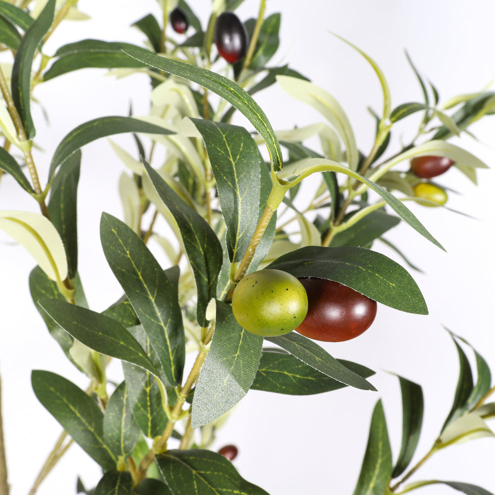 5' Artificial  Olive Tree in Black Plastic Pot, 1pc/set Media 9