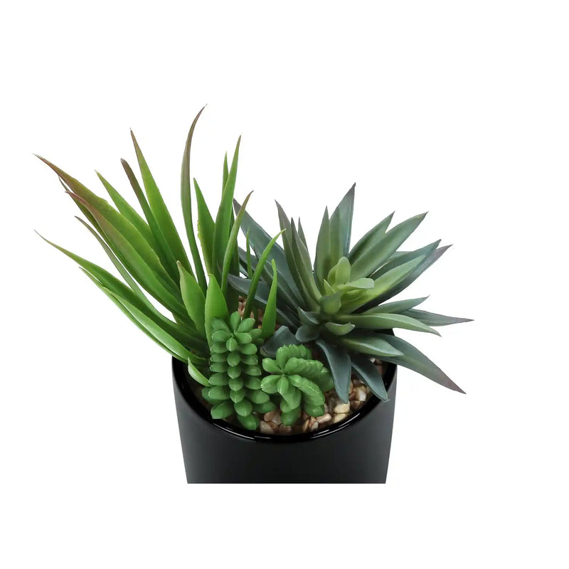 Artificial Succulent Plants Set of 2, Green Faux Indoor Potted Decor in Glossy Black Pots, Realistic Greenery for Table or Shelf