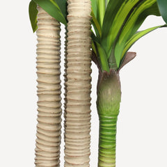 6' Artificial Dracaena Tree with Black Plastic Pot perspective