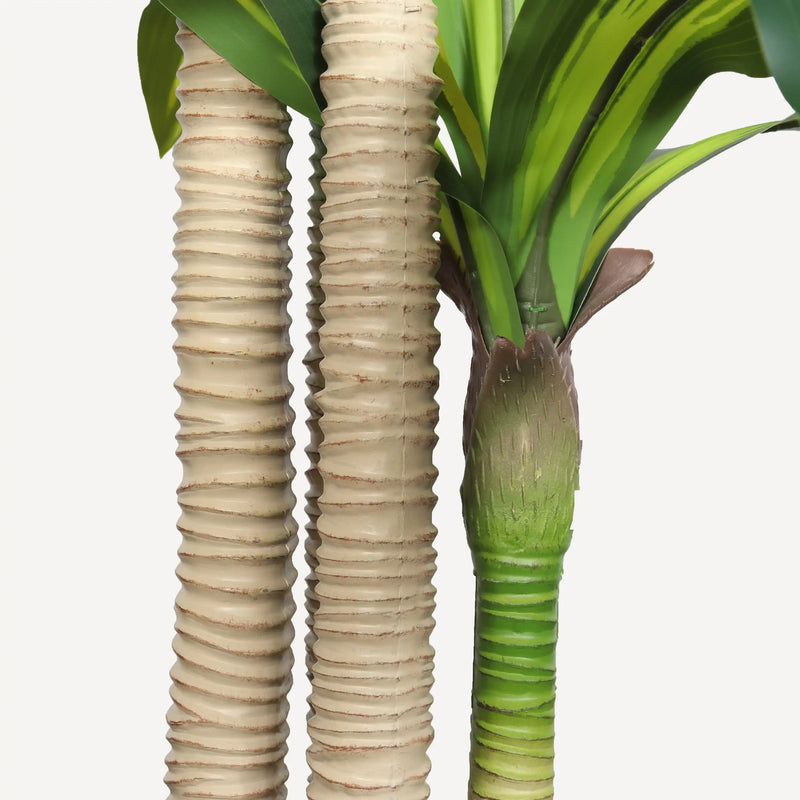 6' Artificial Dracaena Tree with Black Plastic Pot