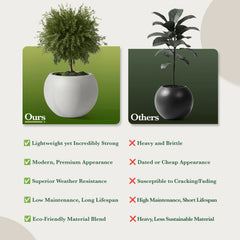 DTY Fiberstone Globe Planter Indoor Outdoor — Lightweight Sphere Ball Pot for Olive Tree, Monstera & Palm | Fiberglass Stone | UV Resistant, Drainage Hole | 2 Coco Mats | Black | 12.6" D × 10" H perspective
