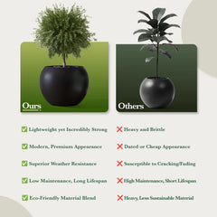 DTY Fiberstone Globe Planter Indoor Outdoor — Lightweight Sphere Ball Pot for Olive Tree, Monstera & Palm | Fiberglass Stone | UV Resistant, Drainage Hole | 2 Coco Mats | Black | 12.6" D × 10" H perspective