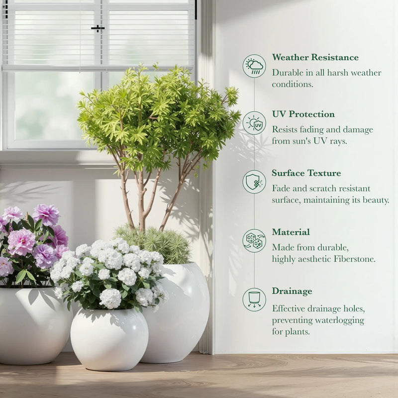 DTY Fiberstone Globe Planter Indoor Outdoor — Lightweight Sphere Ball Pot for Olive Tree, Monstera & Palm | Fiberglass Stone | UV Resistant, Drainage Hole | 2 Coco Mats | Black | 12.6" D × 10" H