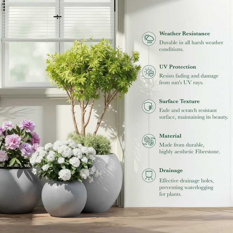 DTY Fiberstone Globe Planter Indoor Outdoor — Lightweight Sphere Ball Pot for Olive Tree, Monstera & Palm | Fiberglass Stone | UV Resistant, Drainage Hole | 2 Coco Mats | Black | 12.6" D × 10" H