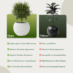DTY Fiberstone Globe Planter Indoor Outdoor — Lightweight Sphere Ball Pot for Olive Tree, Monstera & Palm | Fiberglass Stone | UV Resistant, Drainage Hole | 2 Coco Mats | Black | 12.6" D × 10" H perspective