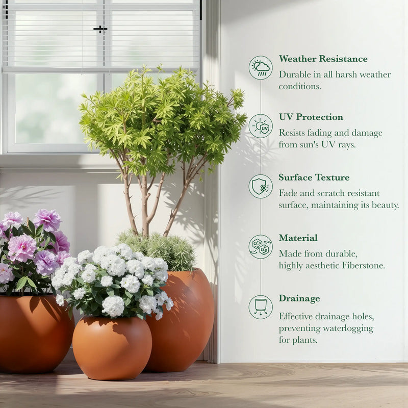 DTY Fiberstone Globe Planter Indoor Outdoor — Lightweight Sphere Ball Pot for Olive Tree, Monstera & Palm | Fiberglass Stone | UV Resistant, Drainage Hole | 2 Coco Mats | Black | 12.6" D × 10" H