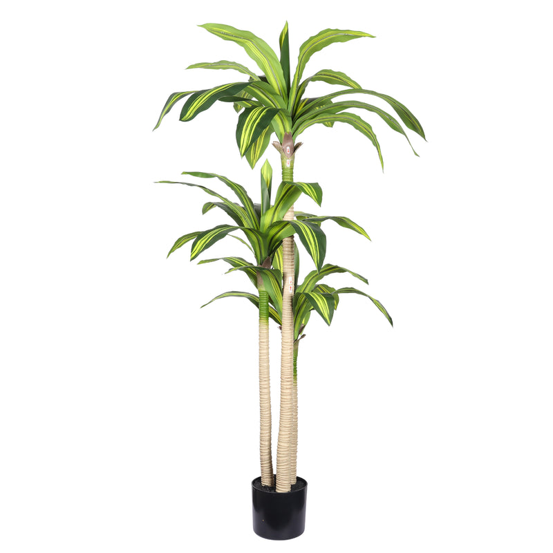 5' Artificial Dracaena Tree with Black Plastic Pot, 1pc/set
