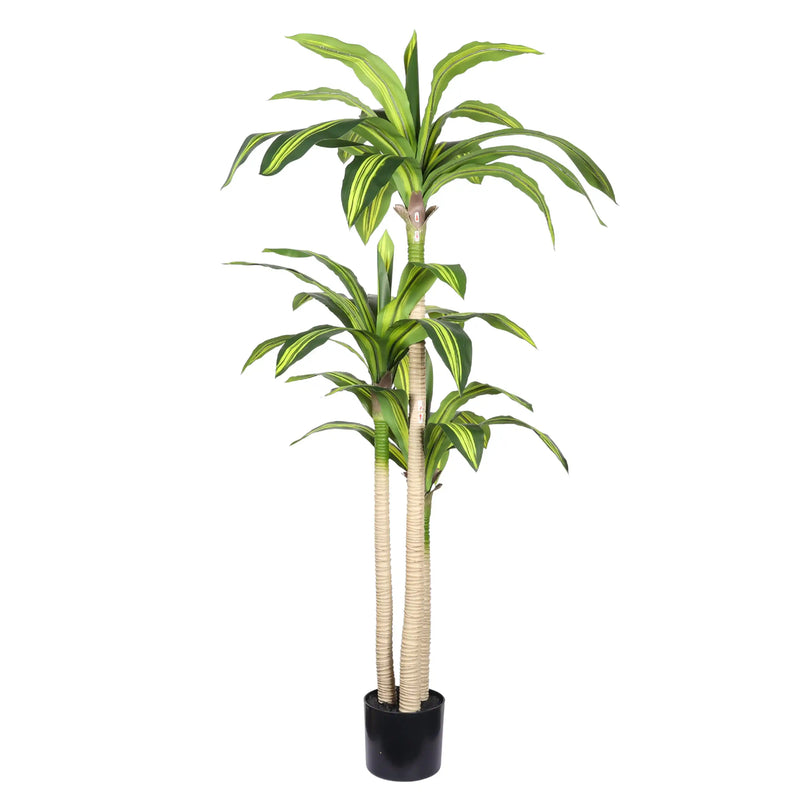 5' Artificial Dracaena Tree with Black Plastic Pot, 1pc/set