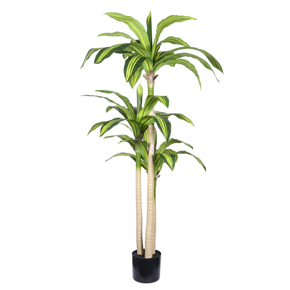5' Artificial Dracaena Tree with Black Plastic Pot, 1pc/set Media 4
