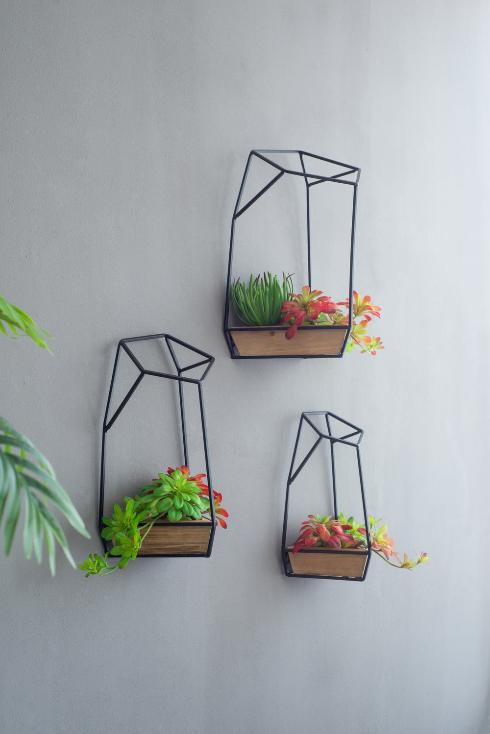 S/3 Felix Wall Planter Media 1