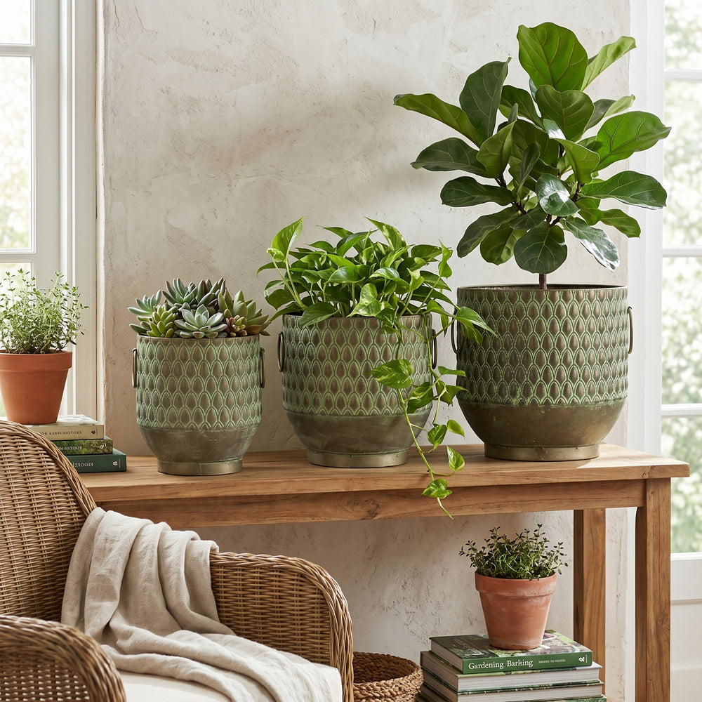 S/3 Textured Green Iron Planters with Tapered Bases Media 6