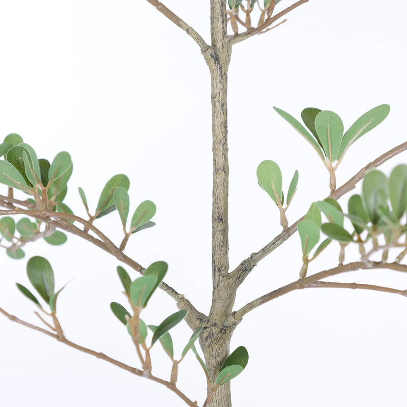 6ft Artificial Olive Tree, Realistic Faux Potted Plant in Black Pot, Indoor & Covered Outdoor Decorative Tree for Living Room and Office, 1pc/set